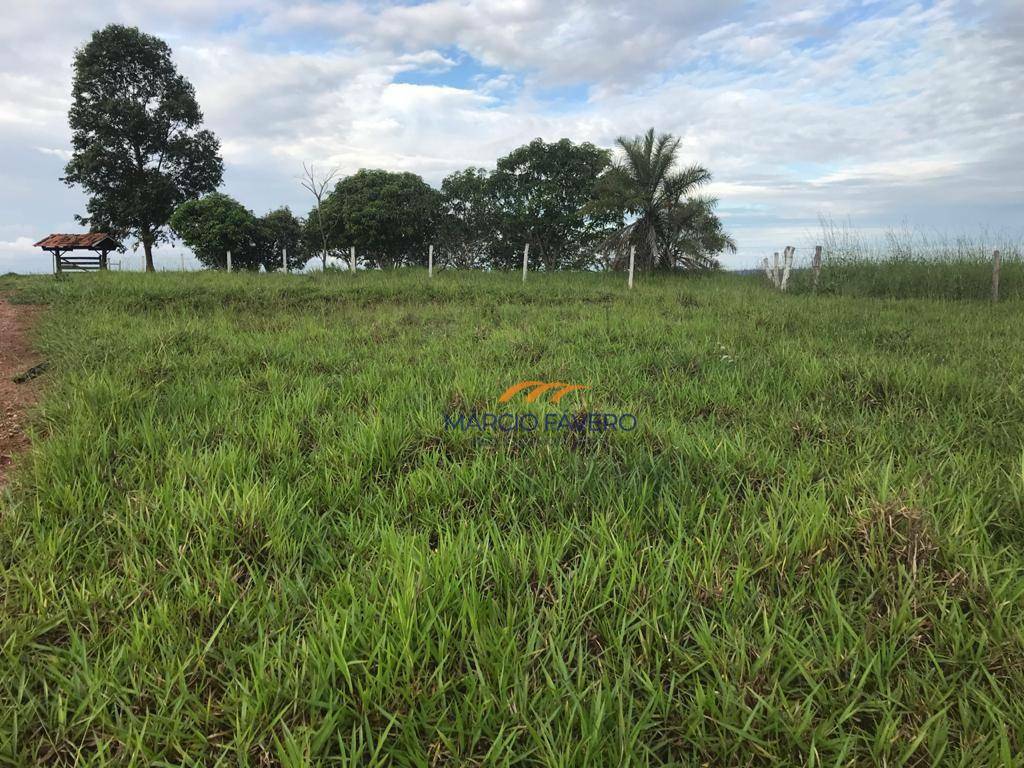 Fazenda à venda, 4250000M2 - Foto 23