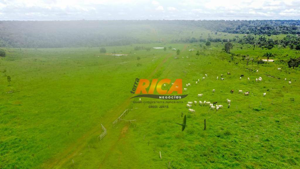 Fazenda à venda, 8000000M2 - Foto 12