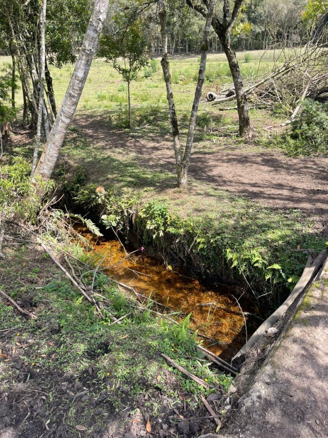 Chácara, 10000 m² - Foto 4