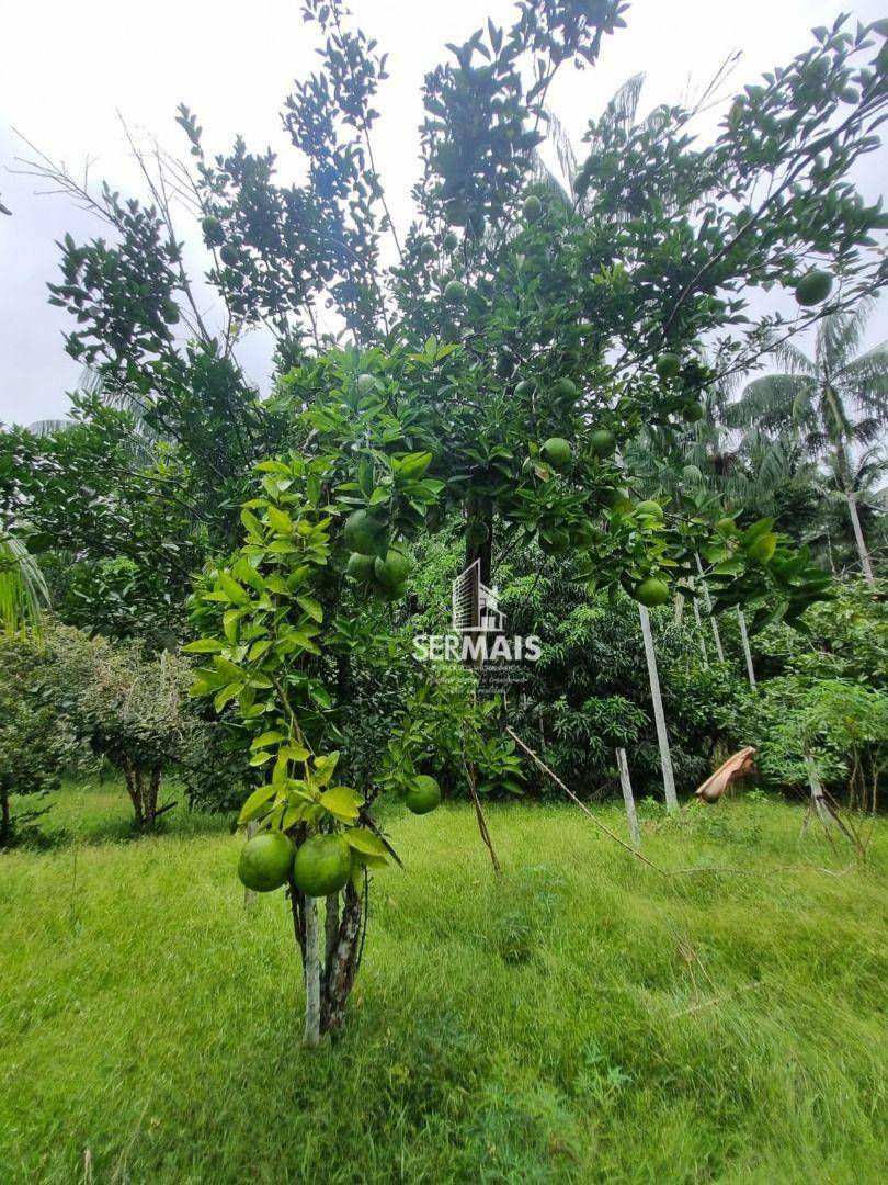 Chácara à venda, 6000M2 - Foto 19