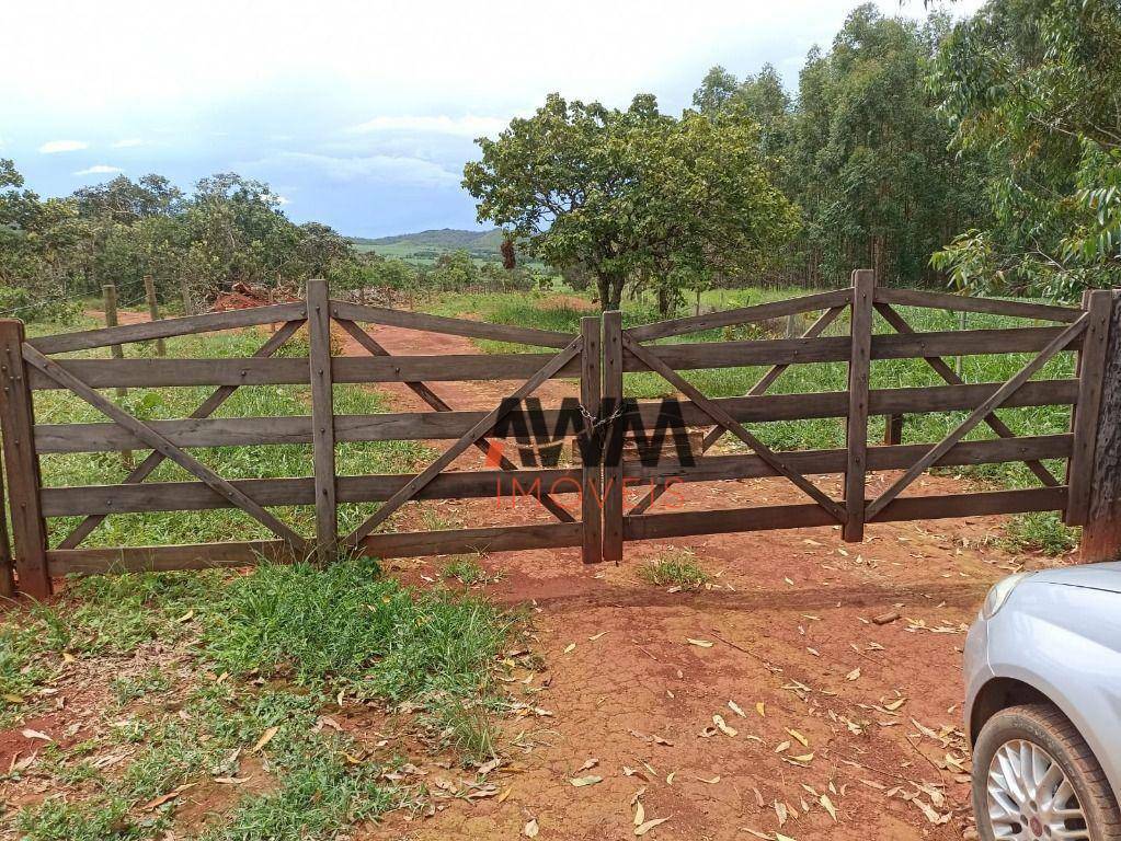 Fazenda à venda, 3963960M2 - Foto 13