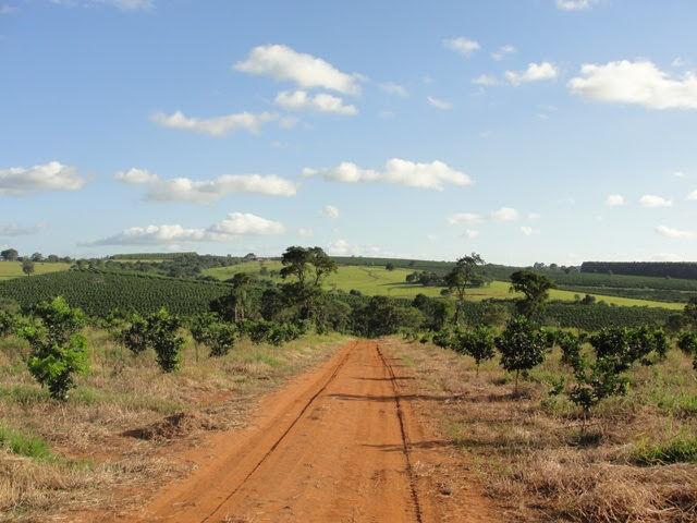 Fazenda à venda com 2 quartos, 4114000m² - Foto 5