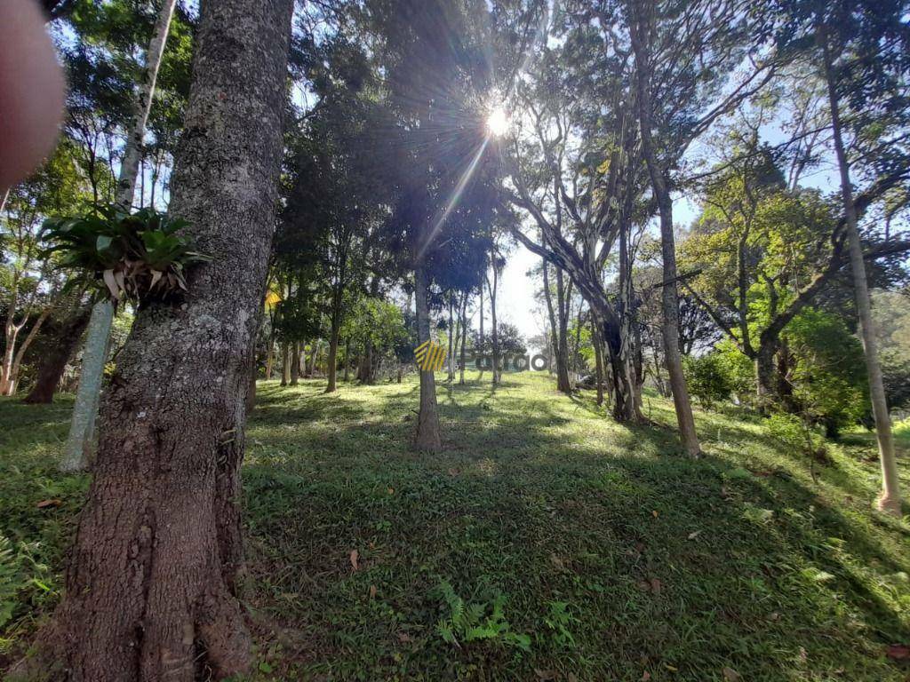 Terreno, 9980 m² - Foto 4