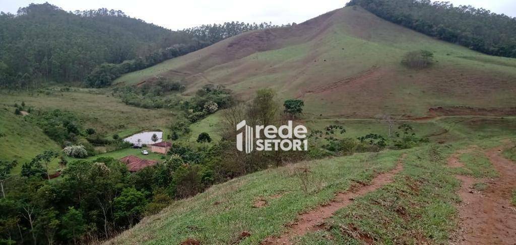 Fazenda à venda com 3 quartos, 1110000M2 - Foto 67