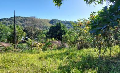 Fazenda à venda com 2 quartos, 16000m² - Foto 16