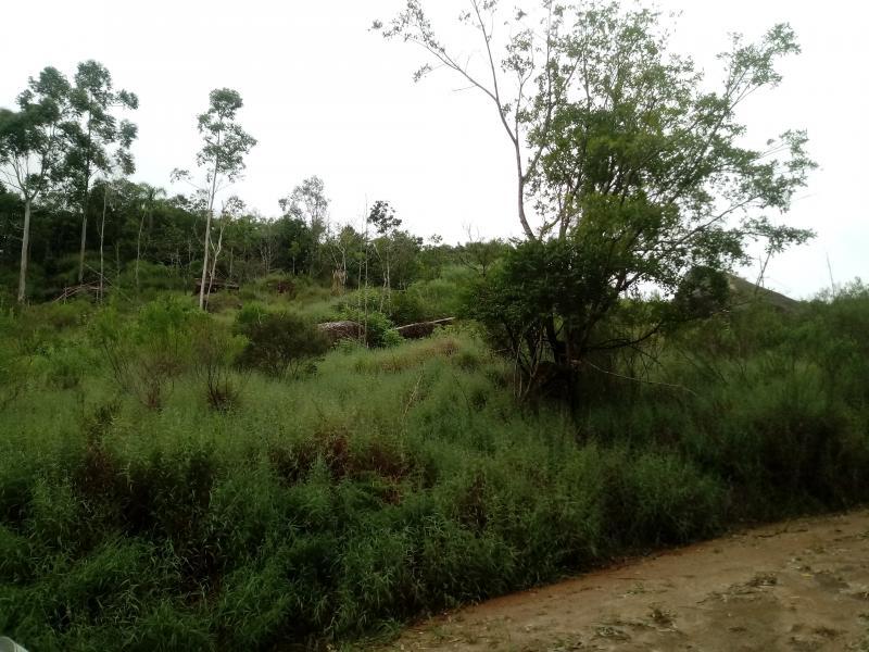 Fazenda à venda, 5000m² - Foto 9