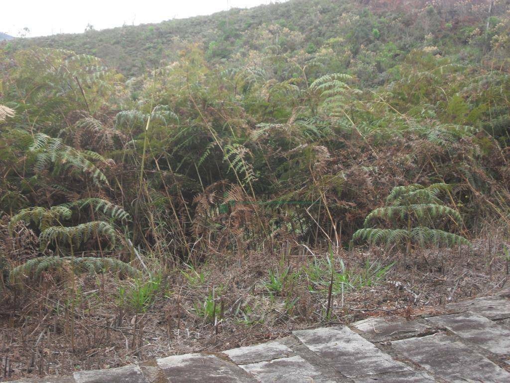 Loteamento e Condomínio à venda, 1024M2 - Foto 24
