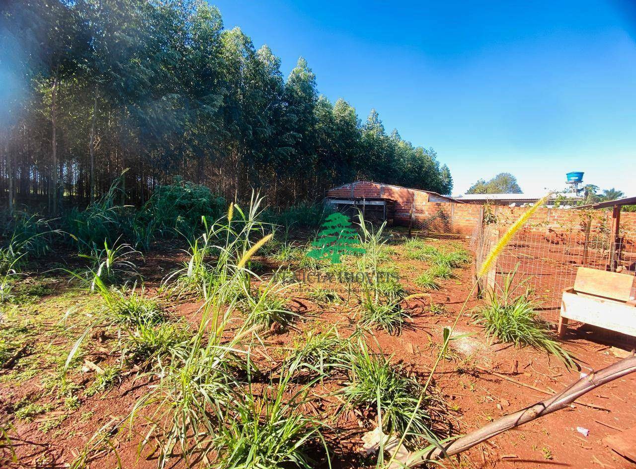 Chácara à venda com 3 quartos, 3870M2 - Foto 24