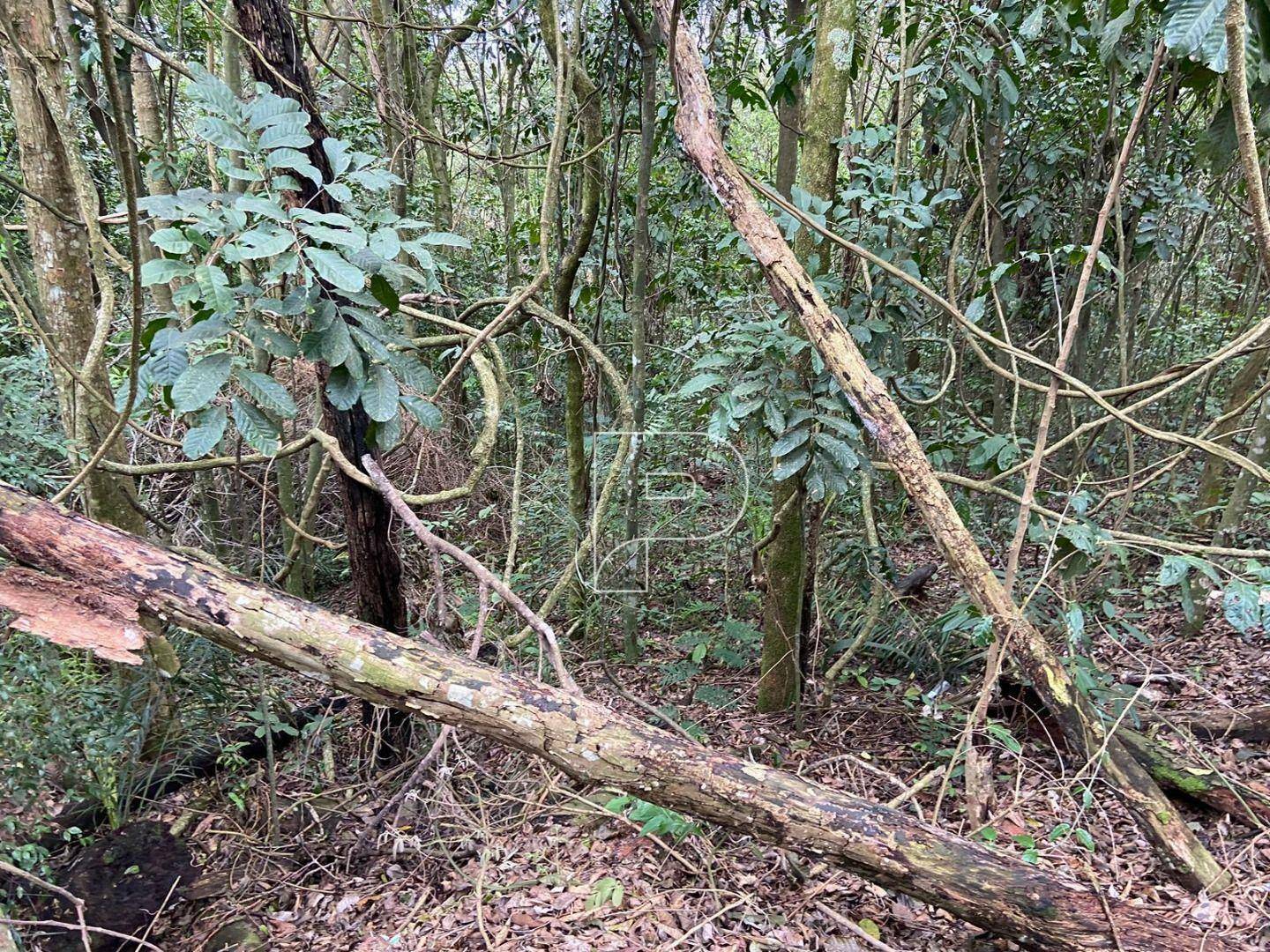 Loteamento e Condomínio à venda, 381M2 - Foto 21