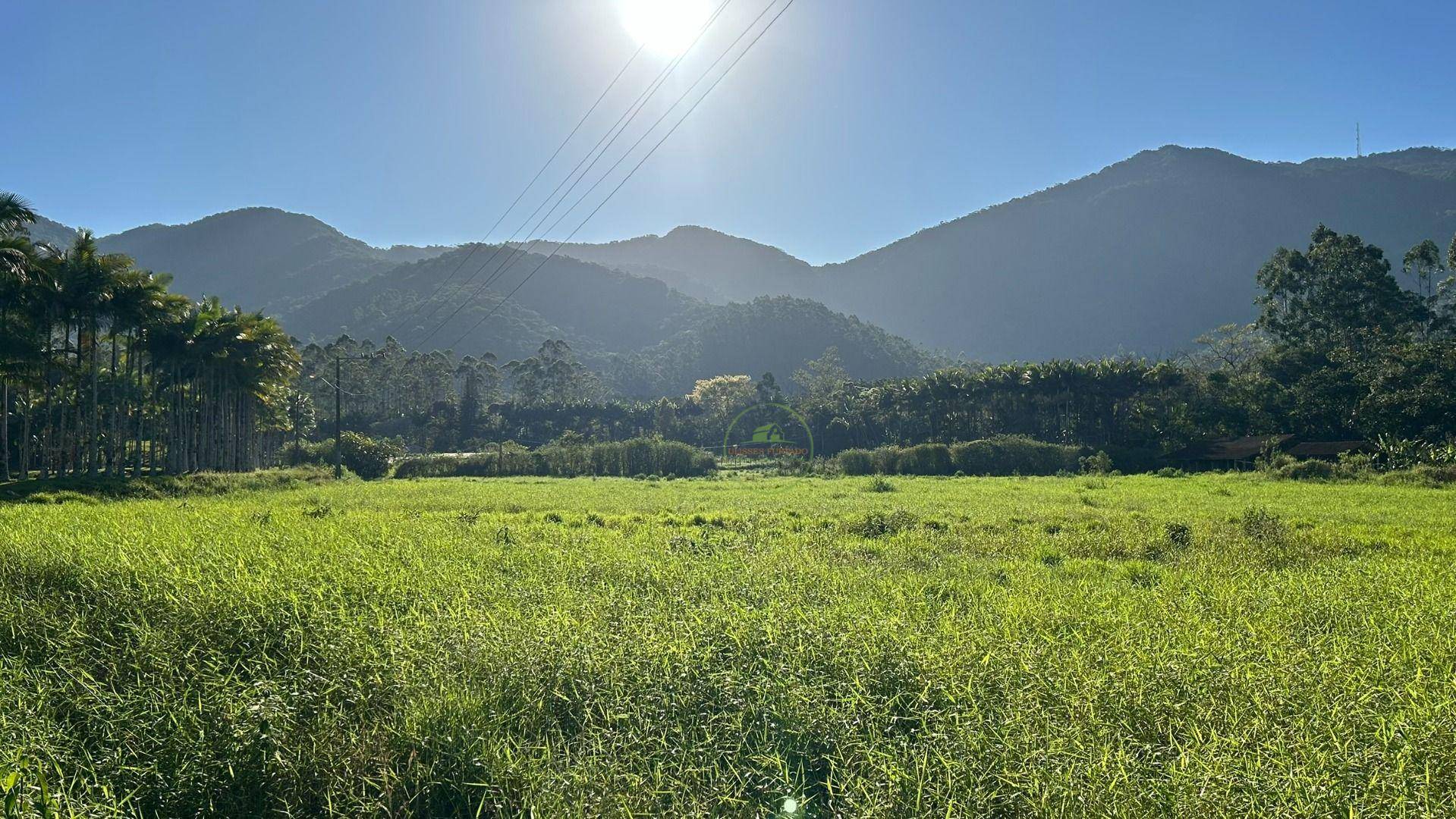 Sítio, 19 hectares - Foto 34