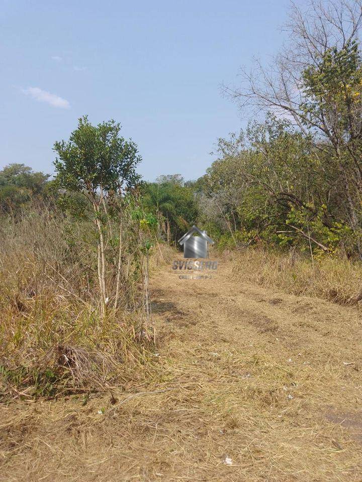 Sítio, 4 hectares - Foto 17