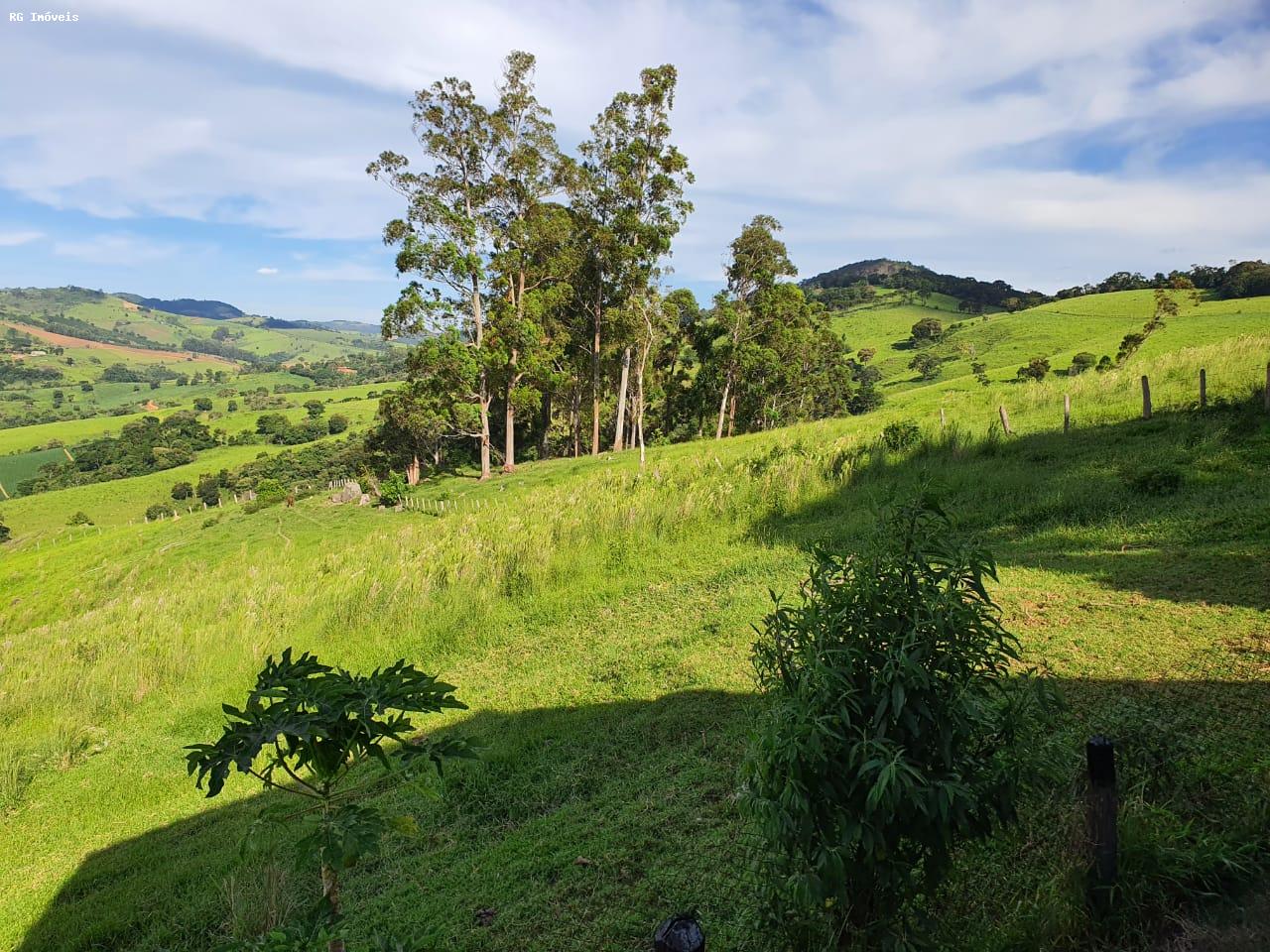 Fazenda à venda com 2 quartos, 220m² - Foto 19