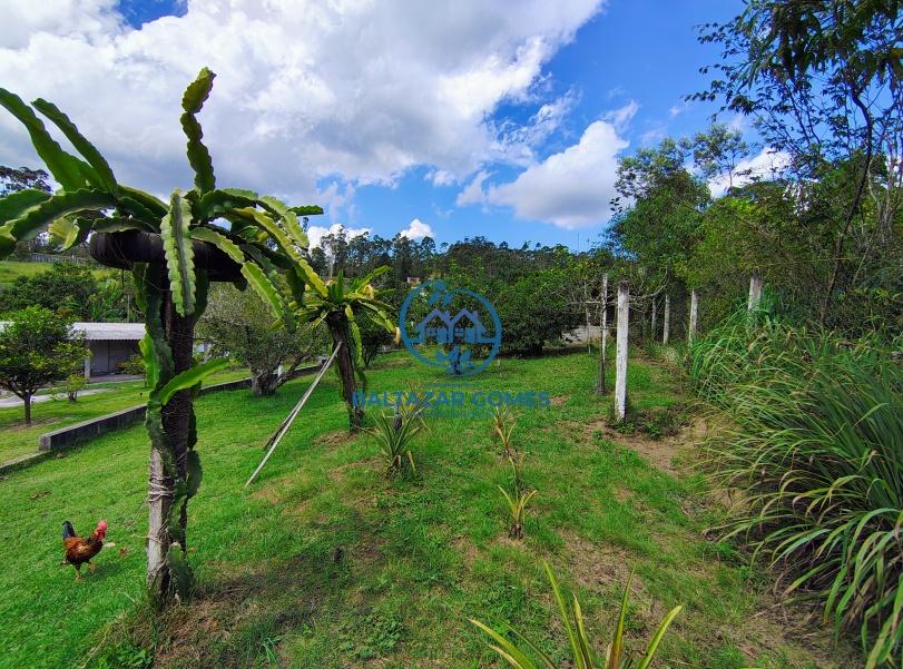 Fazenda à venda com 4 quartos, 10000m² - Foto 23