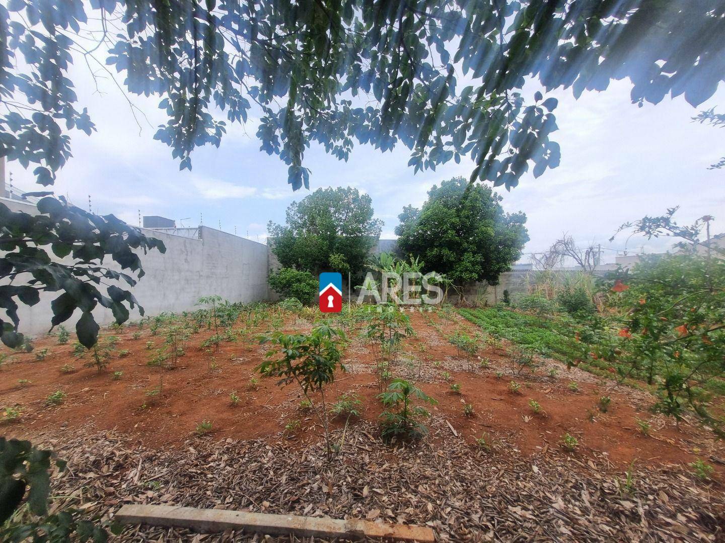 Terreno, 250 m² - Foto 1