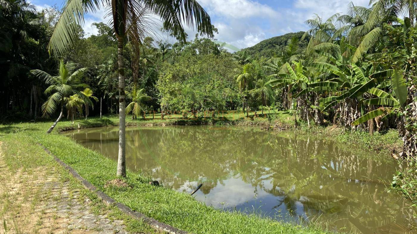 Fazenda, 260 hectares - Foto 5