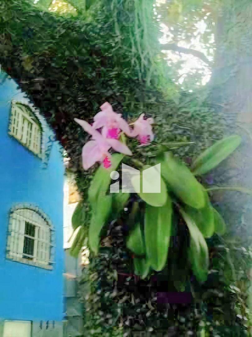 Casa de Condomínio, 6 quartos - Foto 3