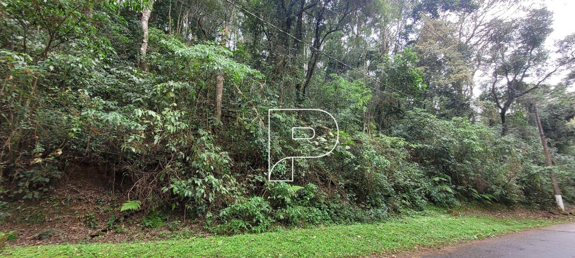 Loteamento e Condomínio, 2568 m² - Foto 3