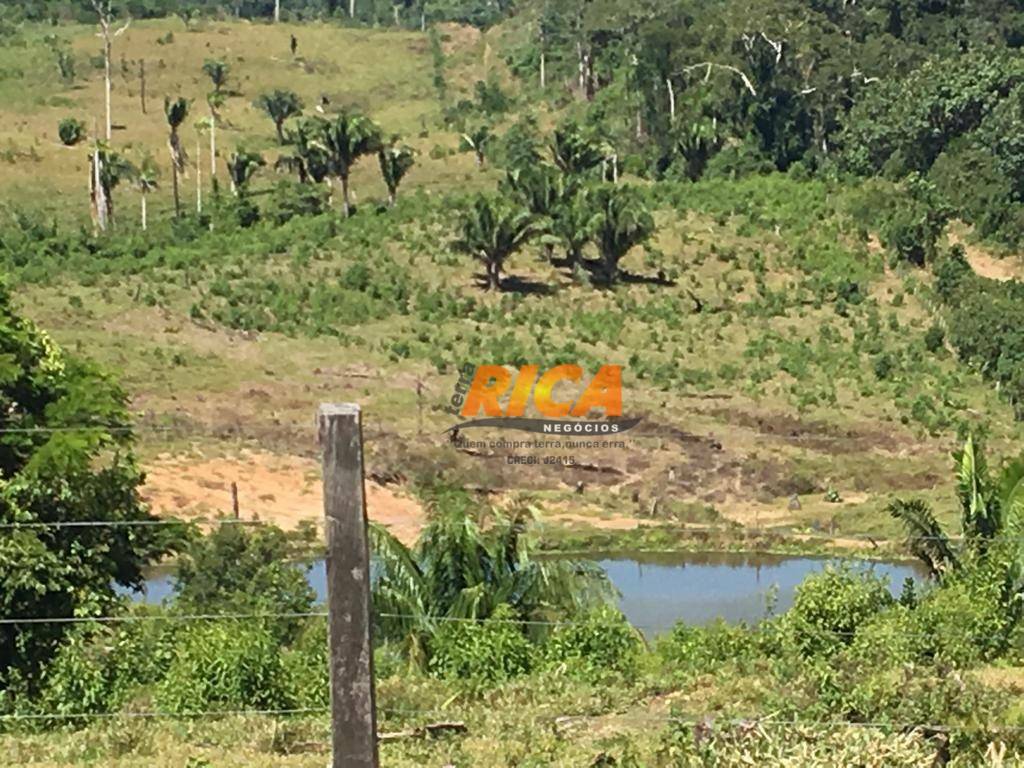 Fazenda à venda, 8143000M2 - Foto 41