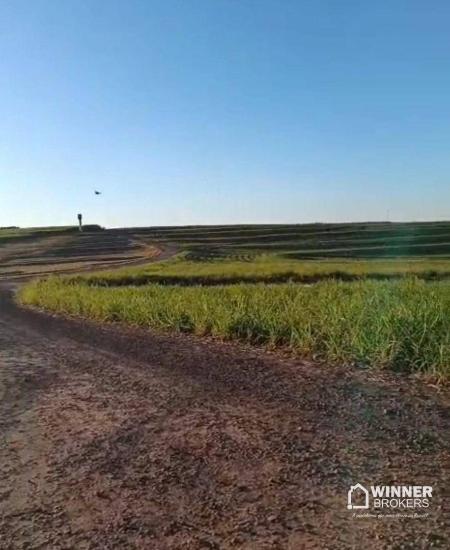 Chácara, 2 hectares - Foto 4