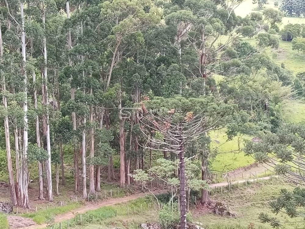 Fazenda à venda com 2 quartos, 24m² - Foto 57