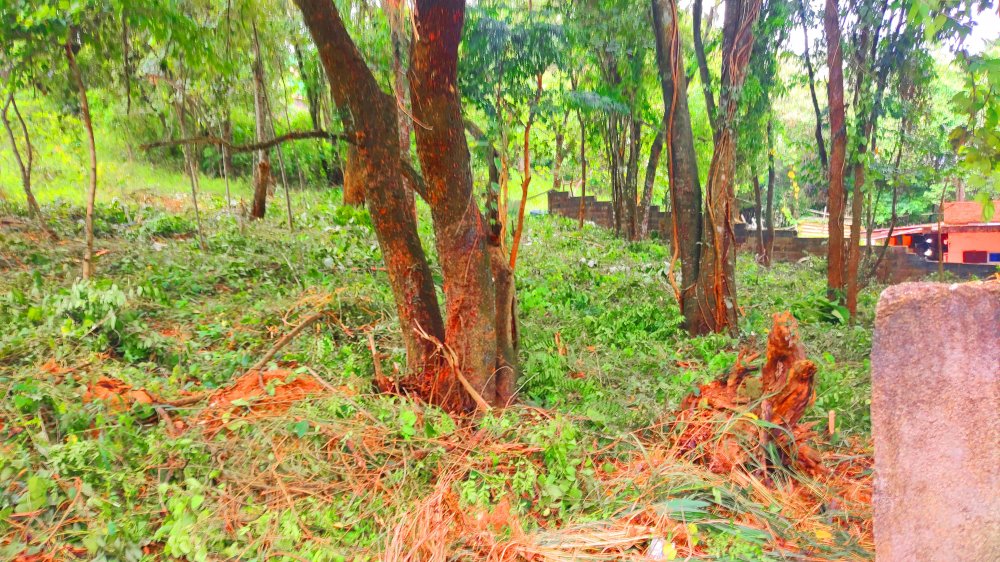 Terreno à venda, 1000m² - Foto 4