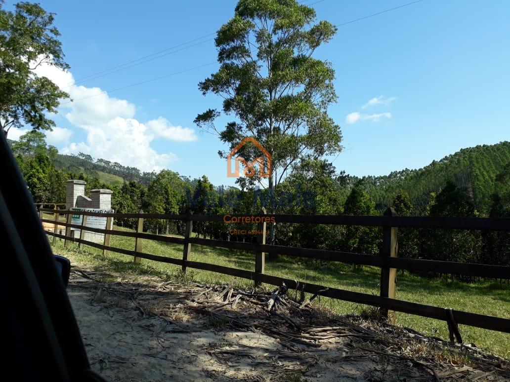 Fazenda-Sítio-Chácara, 121 hectares - Foto 5