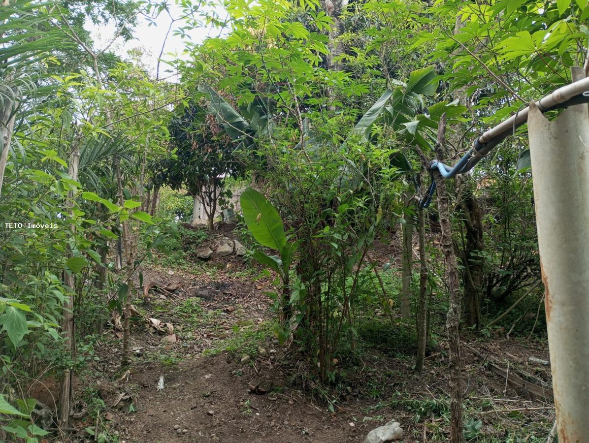 Sítio à venda com 3 quartos, 2579m² - Foto 17