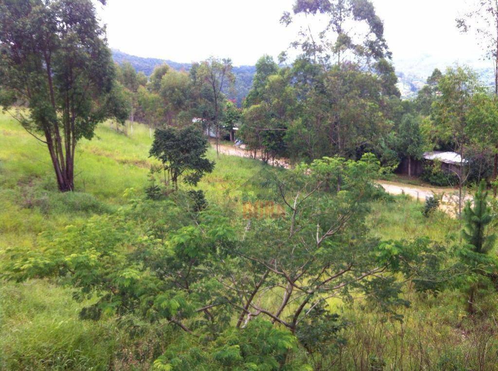 Terreno à venda, 5000M2 - Foto 3