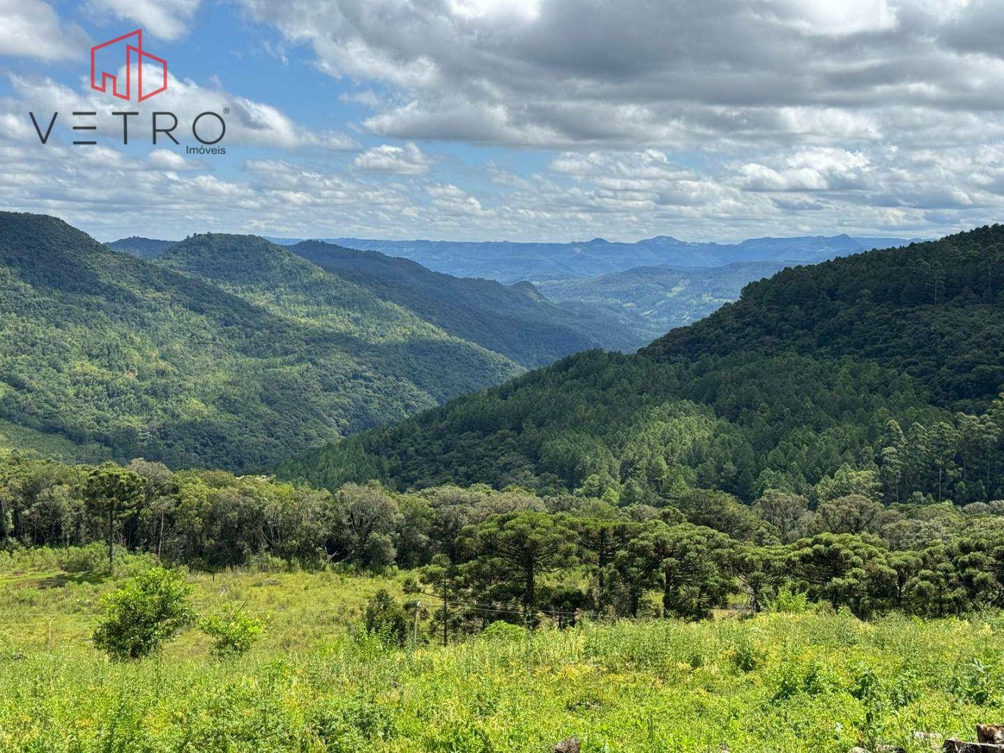 Sítio à venda com 3 quartos, 140125M2 - Foto 14