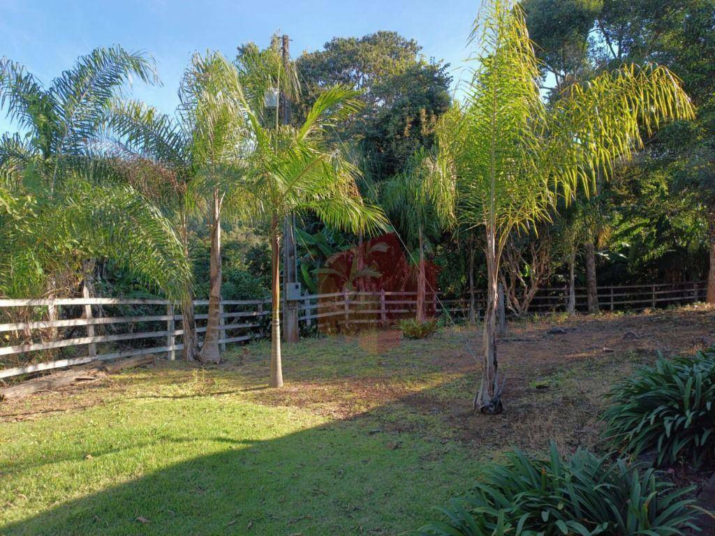 Sítio, 10 hectares - Foto 85