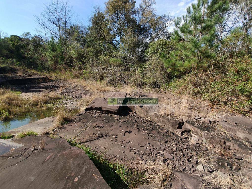 Terreno à venda, 15600M2 - Foto 13