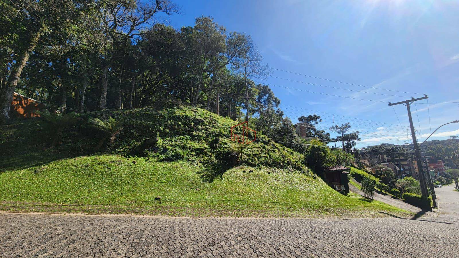 Loteamento e Condomínio à venda, 1716M2 - Foto 4