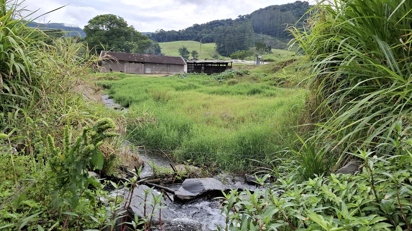 Sítio à venda com 5 quartos, 230000m² - Foto 37