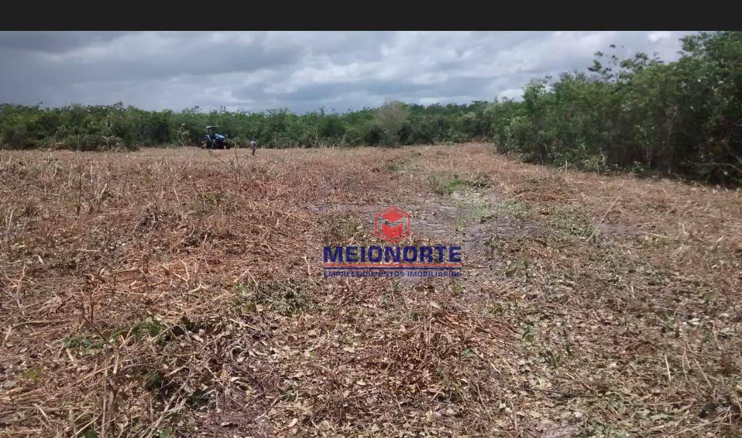 Fazenda à venda com 1 quarto, 2400000M2 - Foto 1