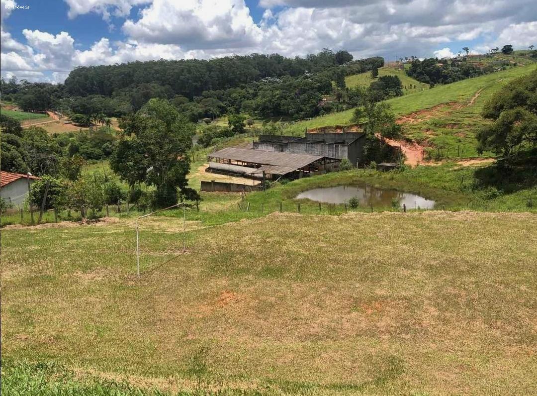 Sítio à venda com 7 quartos, 217800m² - Foto 6