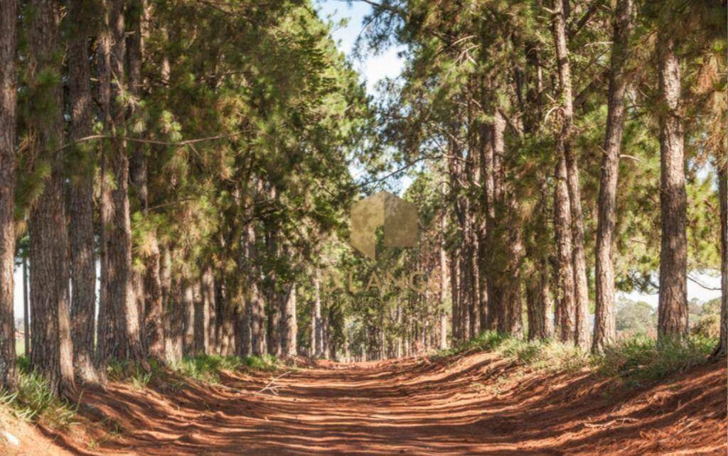 Loteamento e Condomínio à venda, 903M2 - Foto 6