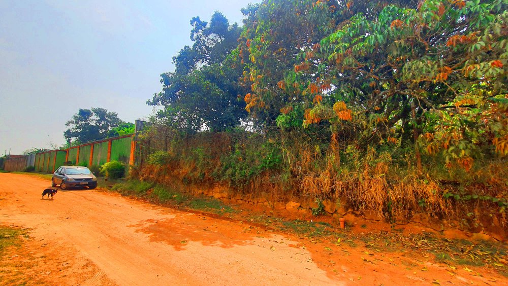 Terreno à venda, 1000m² - Foto 5