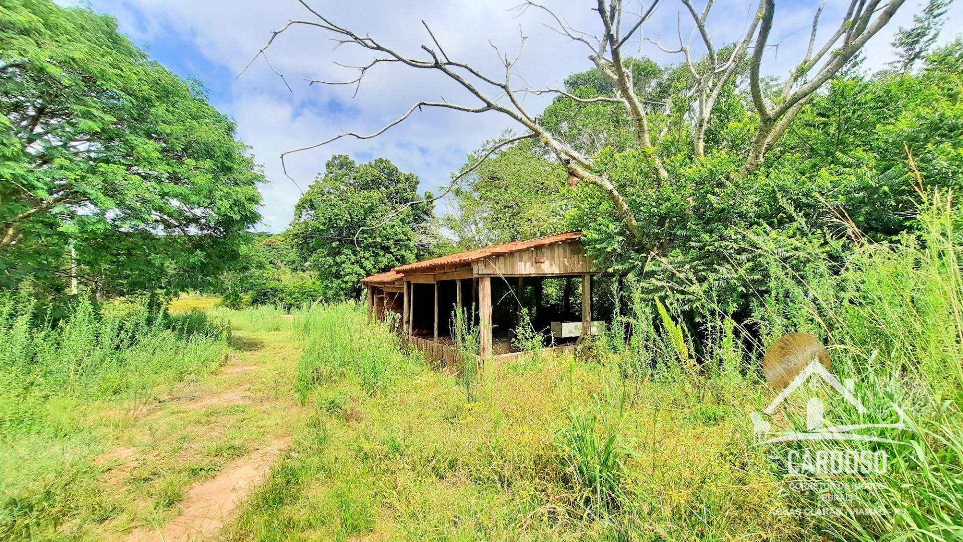 Sítio à venda com 3 quartos, 90000M2 - Foto 11