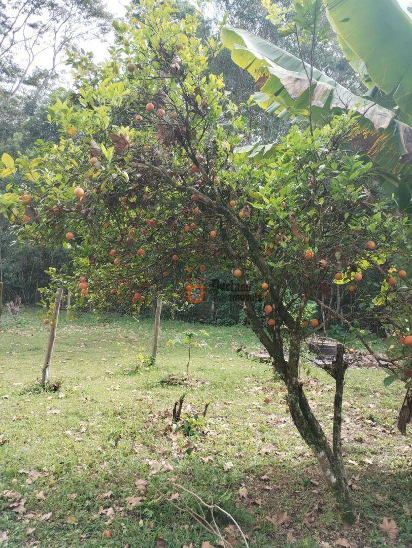 Chácara à venda com 2 quartos, 98m² - Foto 44