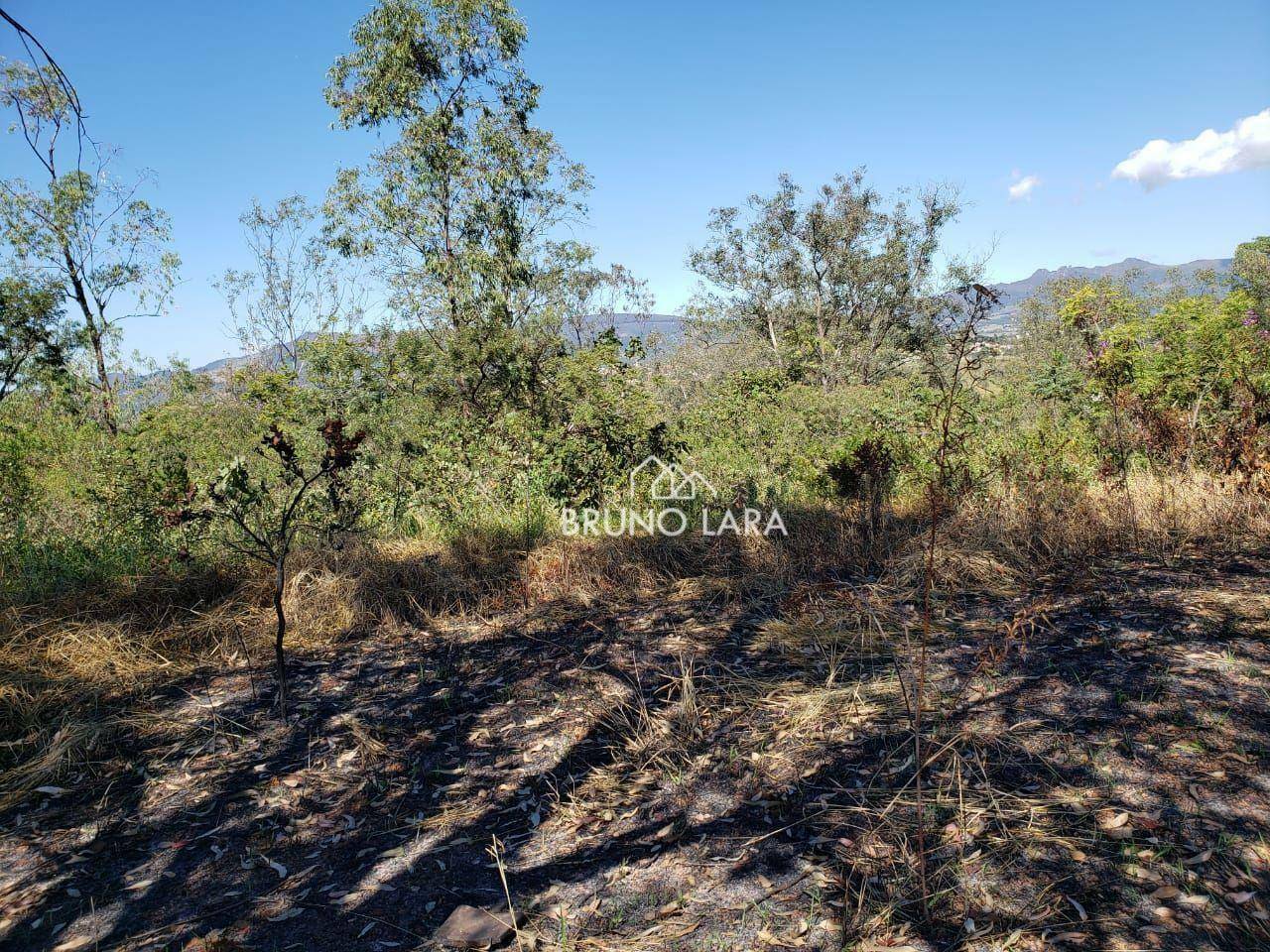 Terreno à venda, 60000M2 - Foto 17