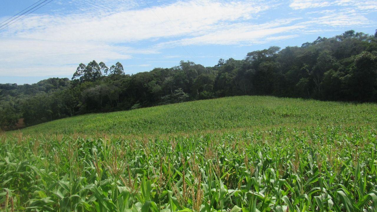 Loteamento e Condomínio à venda, 120000m² - Foto 17