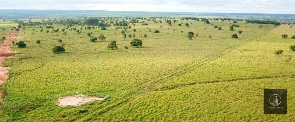 Fazenda à venda, 47720000M2 - Foto 18