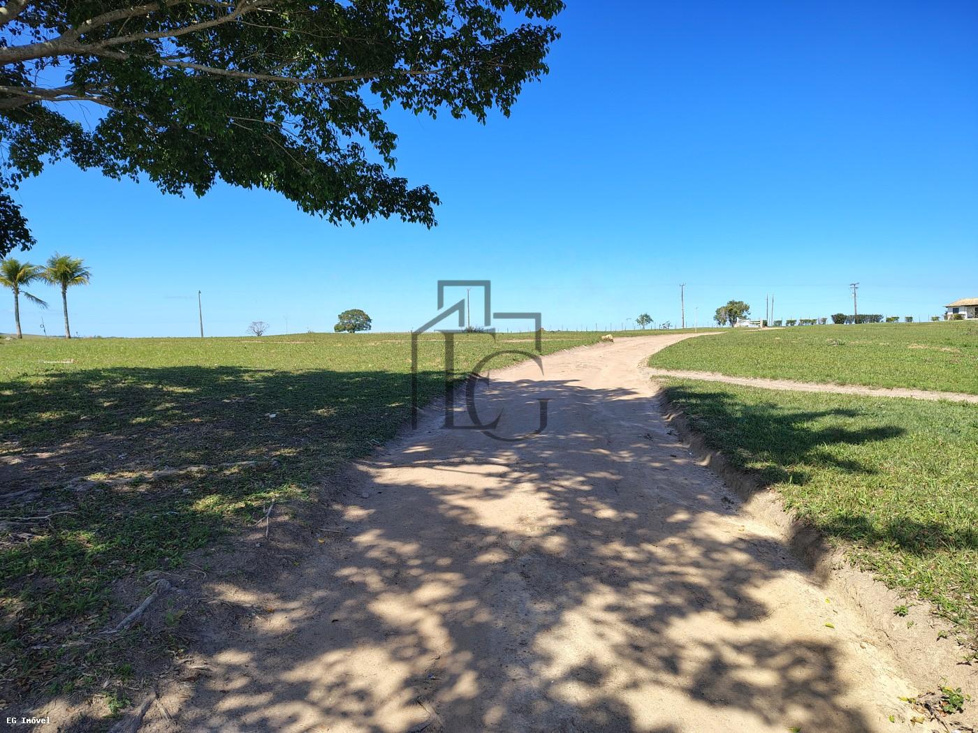 Fazenda-Sítio-Chácara, 5 hectares - Foto 4