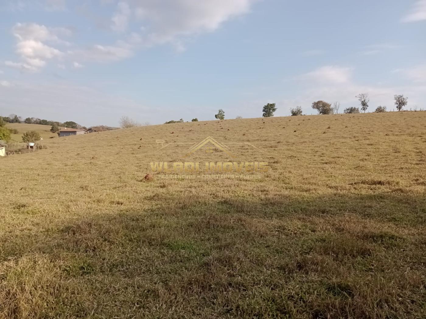 Fazenda à venda com 2 quartos, 4m² - Foto 10