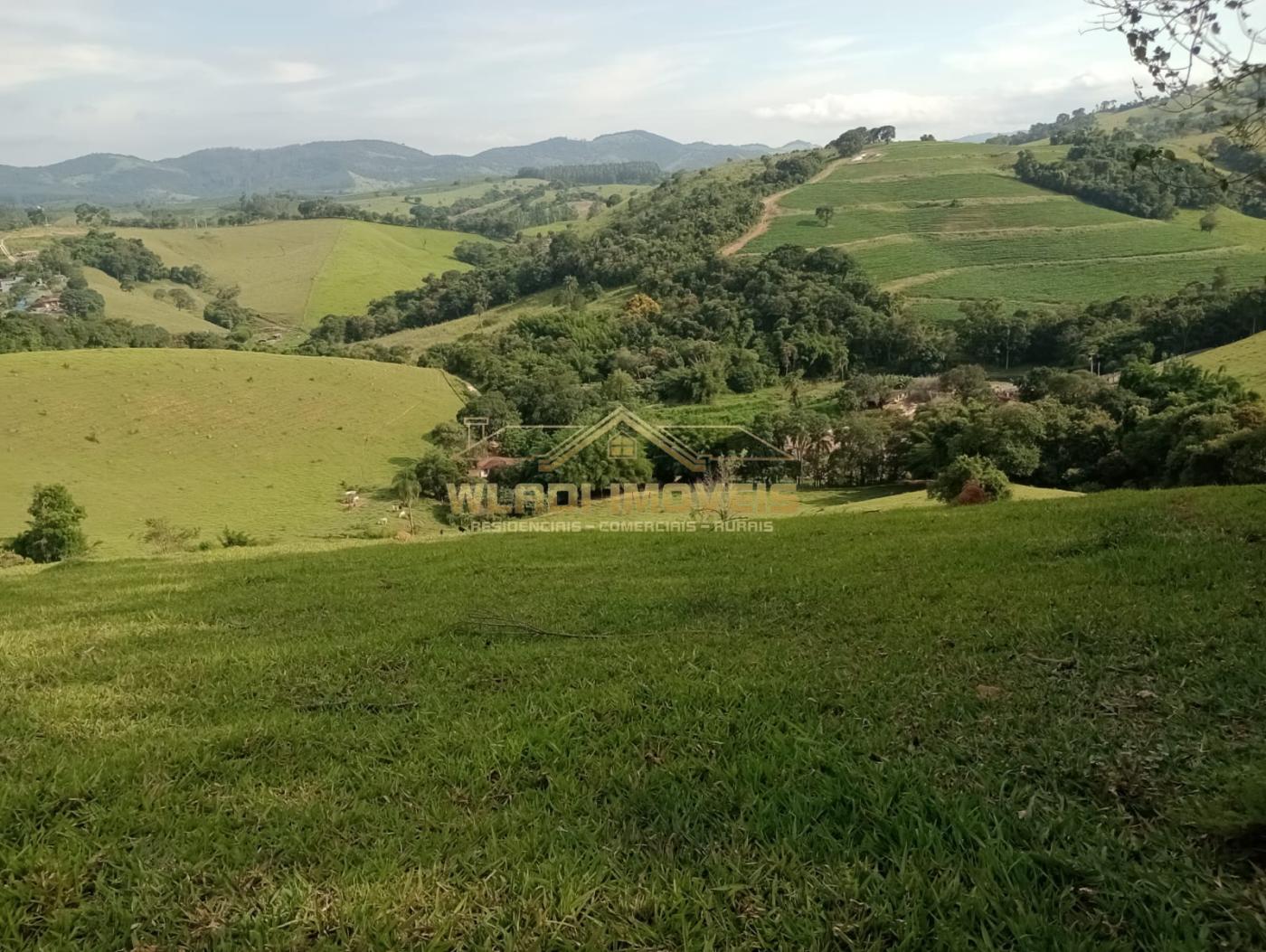 Fazenda à venda com 4 quartos, 7m² - Foto 7