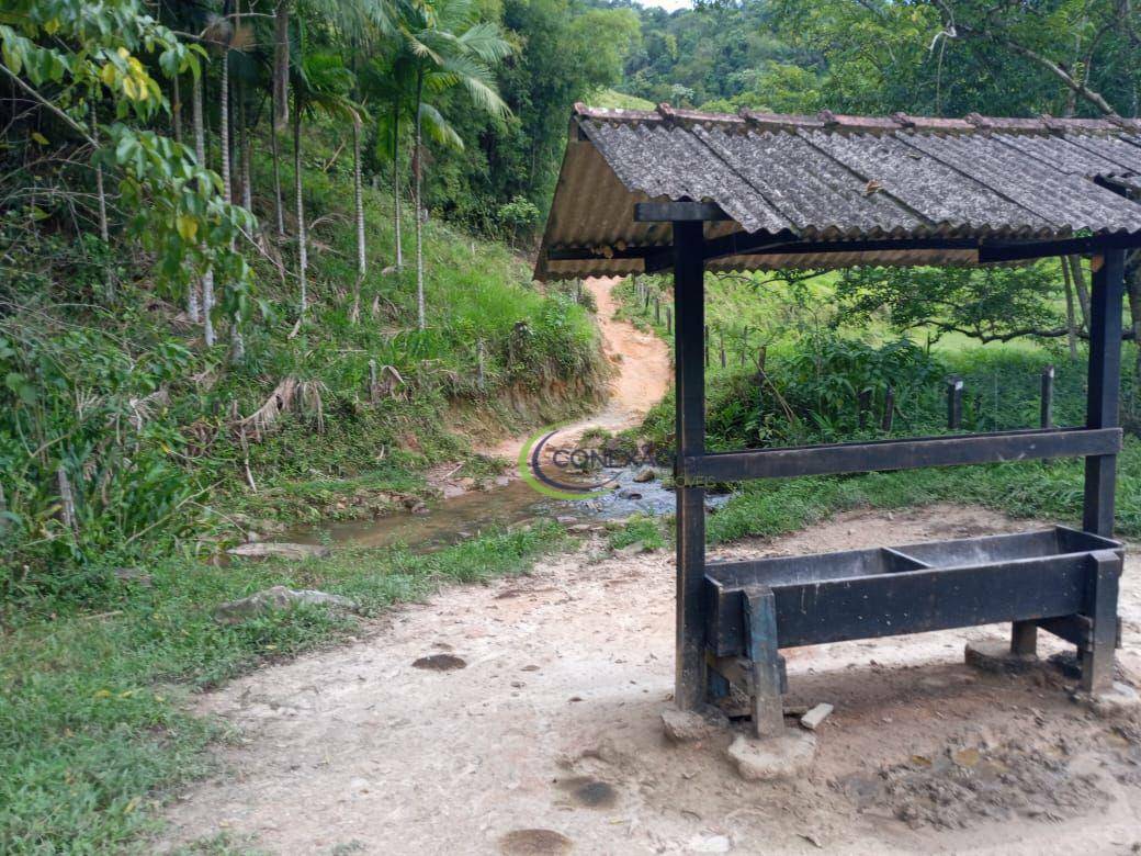 Fazenda à venda com 2 quartos, 1355200M2 - Foto 6