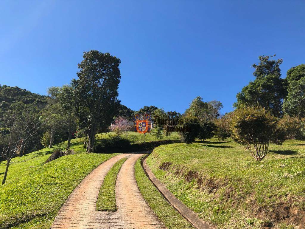 Fazenda à venda com 5 quartos, 690217M2 - Foto 4