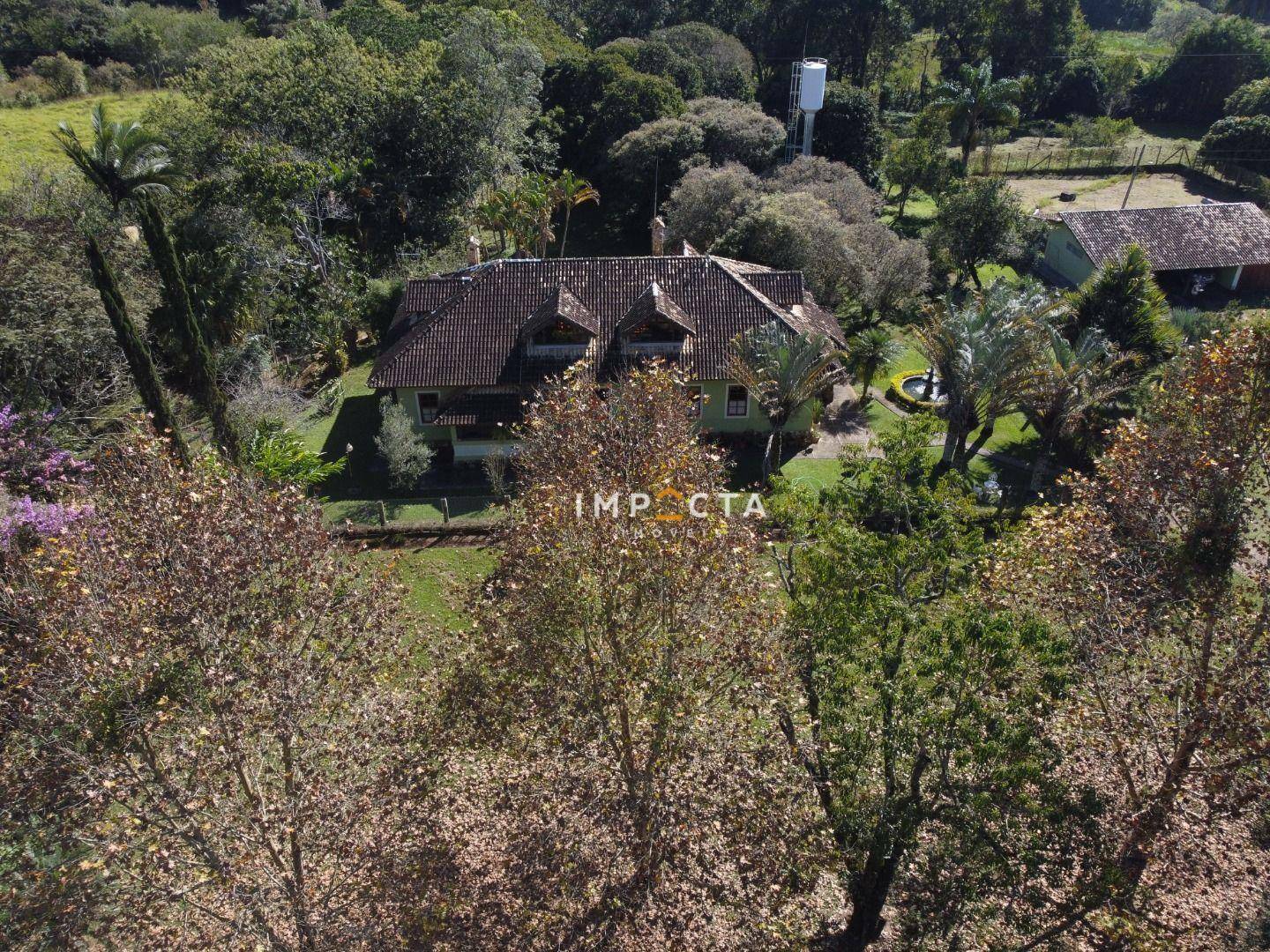 Fazenda à venda com 5 quartos, 450m² - Foto 56