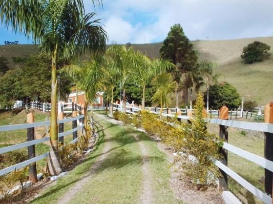 Chácara, 3 quartos, 68 hectares - Foto 3