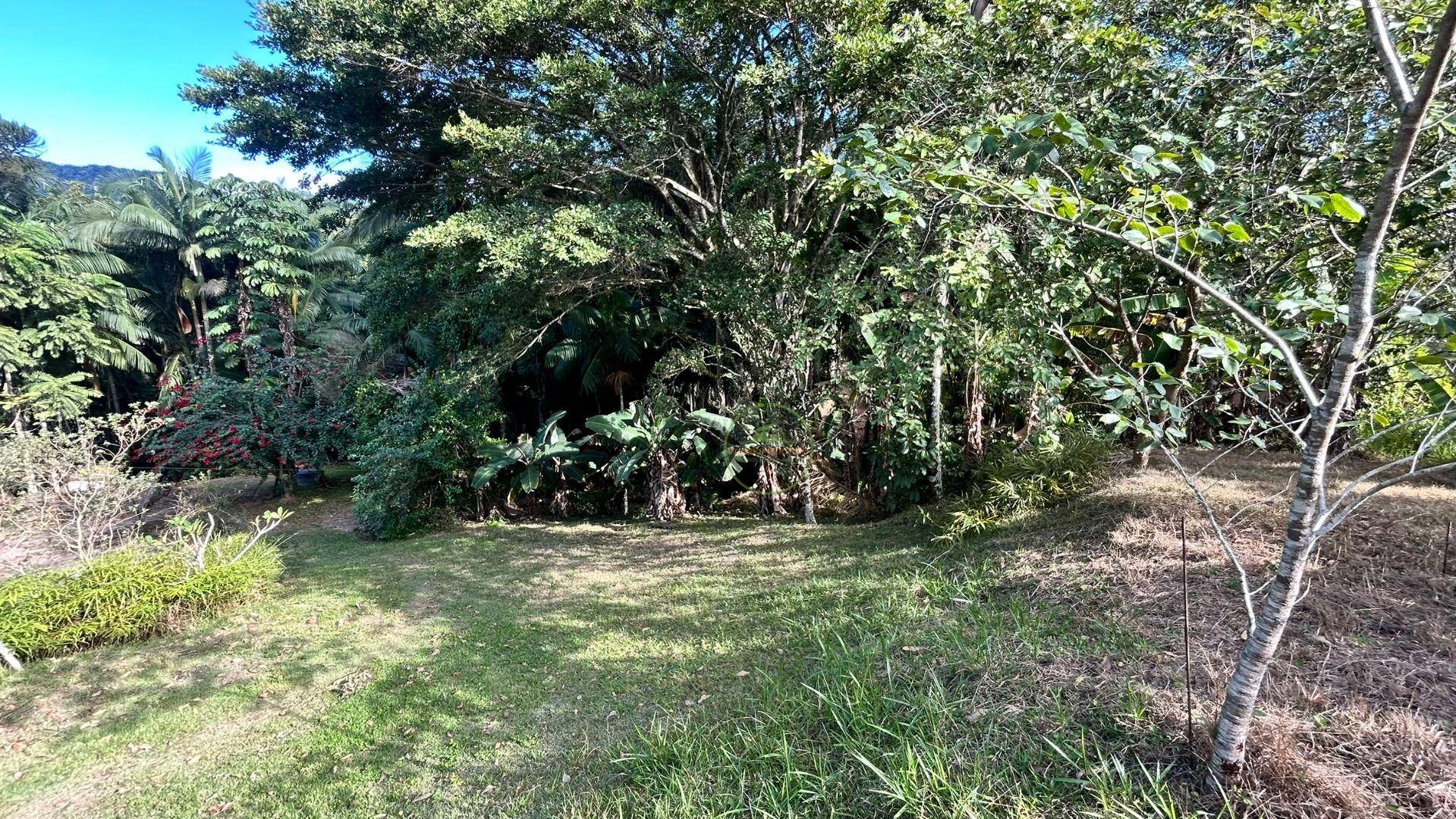 Sítio, 3 hectares - Foto 36